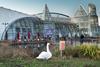 Bluewater 