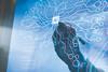 AI_credit_shutterstock_everything possible_1218220324