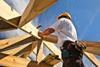 Timber Skills 1