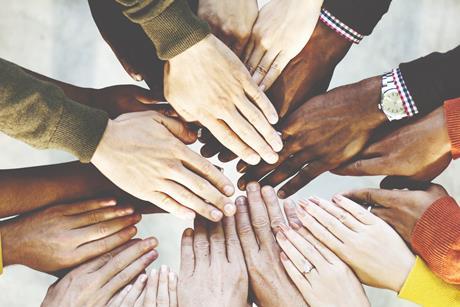Diversity