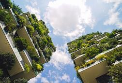 climate