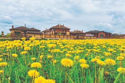 BNG housing scheme shutterstock_2363502521 Nastya.ivs