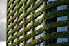 Eden Facade- Simon Buckley